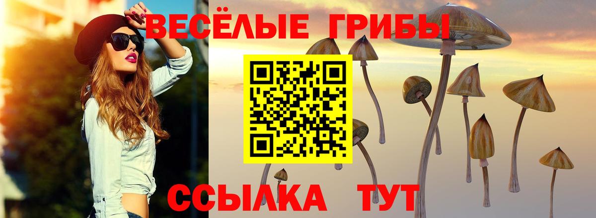 Псилоцибиновые грибы прущие грибы Зерноград